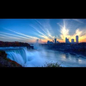 Meet your Posher, Ginger